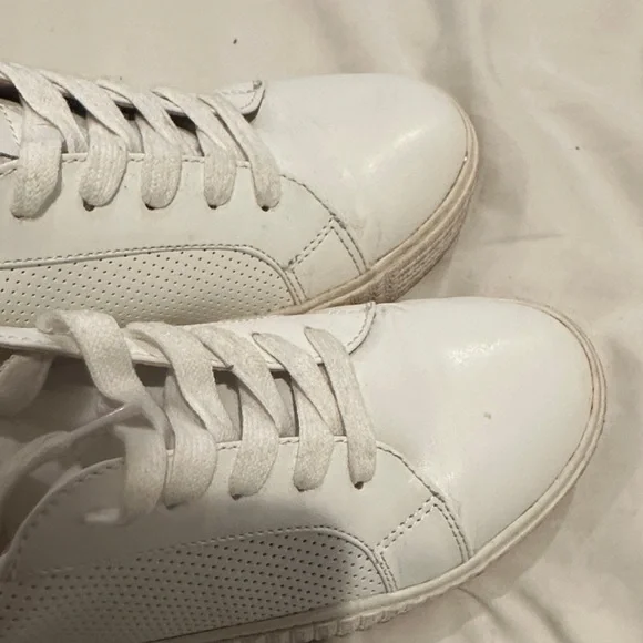 Steve Madden TOLIVER Sneakers - Picture 7 of 8